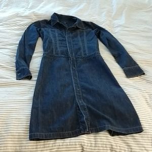 Earl Jean dress with snap front